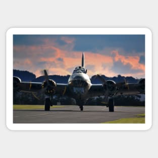 Sally B Sticker